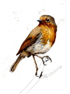 Robin na białym, 2019 autorstwa Mike Davis