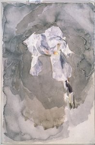 Biała irys autorstwa Mikhail Aleksandrovich Vrubel