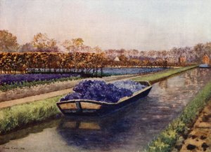 A Boatload of Fragrance (kolor lito) autorstwa Mima Nixon