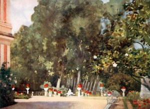 Drzewo magnolii, Aranjuez