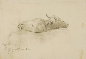 Buffalo, Zatoka Nikomedyjska autorstwa Miner Kilbourne Kellogg