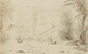 Palmy autorstwa Miner Kilbourne Kellogg