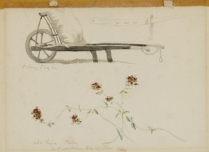St. Valery-Blow-Wild Thyme autorstwa Miner Kilbourne Kellogg