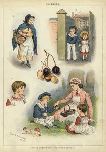 Wiśnie (chromolitho) autorstwa Miss Eliza F. Manning