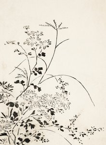  autorstwa Miyazaki Yuzen