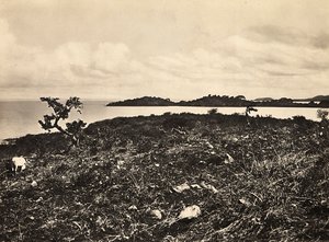 „Budowanie imperium” w epoce faszystowskiej: Jezioro Tana. Etiopia, 09.05.1936 (zdjęcie czarno-białe) autorstwa Modestino Baldinetti