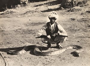د فاشیست په دوره کې د امپراتورۍ جوړول: انډیجین د پاتون سره، 09/05/1936 (b/w عکس)پولي autorstwa Modestino Baldinetti