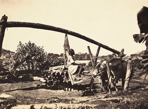 „Budowanie imperium” w epoce faszystowskiej: rdzenna Noria, 9.05.1936 (zdjęcie czarno-białe) autorstwa Modestino Baldinetti