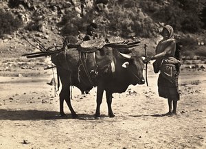 Budowanie imperium w epoce faszystowskiej: nomada, 09.05.1936 (zdjęcie czarno-białe) autorstwa Modestino Baldinetti