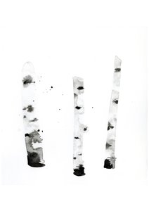 Ghost Birch, 2022 (akwarela na papierze tłoczonym na zimno Langton, 300 g/m²) autorstwa Monica Perez Vega