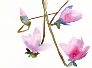 Magnolia 1, 2022 (akwarela na papierze tłoczonym na zimno Langton, 300 g/m²)