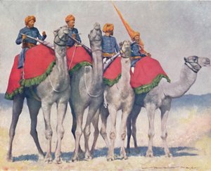 „Wielbłąd z Alwaru”, 1903 autorstwa Mortimer L Menpes