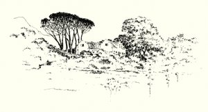 Farma Cecila J Rhodesa (lito) autorstwa Mortimer Ludington Menpes