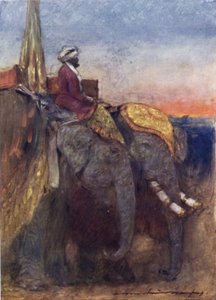 Słonie Jaipur (kolor lito) autorstwa Mortimer Ludington Menpes