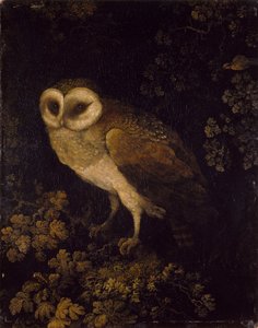 Sowa, 1780-90