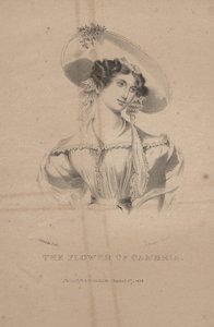 Kwiat Cambrii, lito autorstwa C.G. Dzieci, 1830