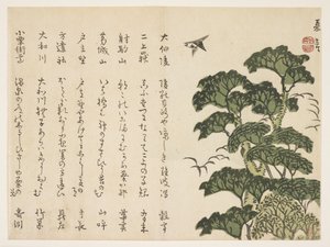 Wielkie drzewo i ptaki, ok. 1830-44 (kolorowy drzeworyt) autorstwa Murata Kagen