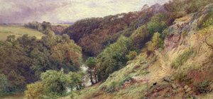 Dell w Devonshire autorstwa Myles Birket Foster
