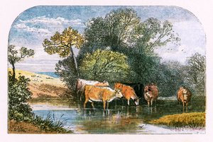 Ilustracja do „Opuszczonej wioski” autorstwa Myles Birket Foster