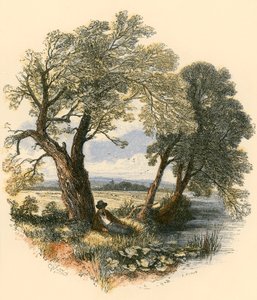 Spacery szabatowe autorstwa Myles Birket Foster