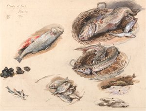 Studium ryb, Wenecja autorstwa Myles Birket Foster