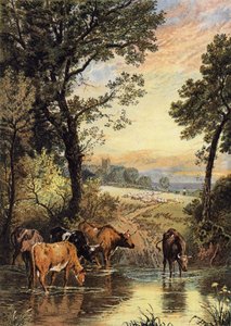 Letni wieczór autorstwa Myles Birket Foster
