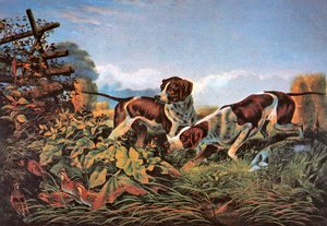 Amerykańskie sporty terenowe: w punkcie autorstwa Currier and Ives