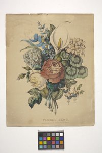 Gems florais (litografia colorida à mão) polonês