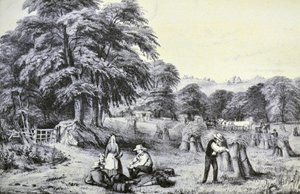 Currier & Ives ilustracja XIX wieku. Zbiór autorstwa N. and Ives, J.M. Currier