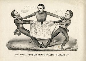 Prawdziwy problem, czyli o co chodzi, 1864 autorstwa N. and Ives, J.M. Currier