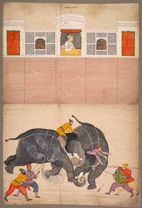 Dwa słonie walczące na dziedzińcu przed Muhammadem Shah 1730-40.
