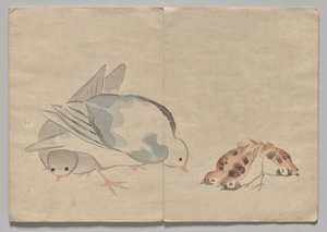 Scena z Kōrin Picture Book (tom 1) autorstwa Nakamura Hochu