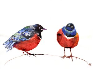 Chchchat, 2013, (tusz na papierze)
