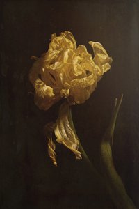  autorstwa Naoya Nakagawa