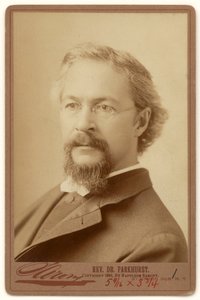 Charles Henry Parkhurst autorstwa Napoleon Sarony