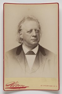 Henry Ward Beecher autorstwa Napoleon Sarony