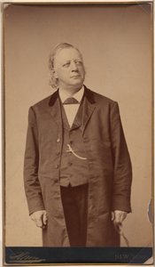 Henry Ward Beecher autorstwa Napoleon Sarony