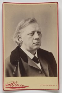 Henry Ward Beecher autorstwa Napoleon Sarony