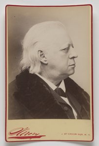 Henry Ward Beecher autorstwa Napoleon Sarony
