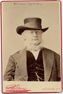 Horace Greeley (1811-72), amerykański polityk i redaktor gazet (zdjęcie w albumie) autorstwa Napoleon Sarony