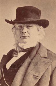 Portret Horacego Greeleya 1811-1872, 1869. autorstwa Napoleon Sarony