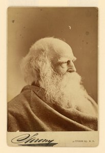 William Cullen Bryant autorstwa Napoleon Sarony