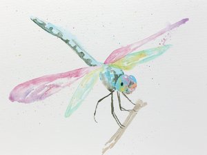 Ważki na gałęzi w pastelowych kolorach autorstwa Natalie Bruns