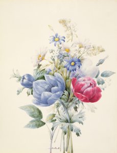 Róża, Anemone, Mignonette i Daisies (wc i gwasz na welinie) autorstwa Nathalie d