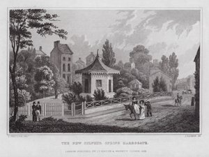 Nowe źródło siarki, Harrogate (rycina)