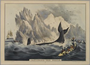 Capturing the Whale (litografia ręcznie kolorowana) autorstwa Nathaniel Currier