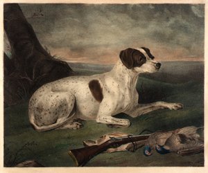 Juno autorstwa Nathaniel Currier