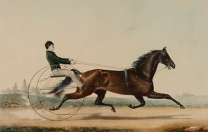 Mac autorstwa Nathaniel Currier
