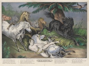 Mazeppa: Talerz 3 z zestawu czterech (4) talerzy (w otoczeniu dzikich koni) autorstwa Nathaniel Currier