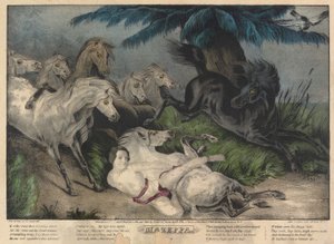 Mazeppa, płyta 3 (w otoczeniu dzikich koni) autorstwa Nathaniel Currier